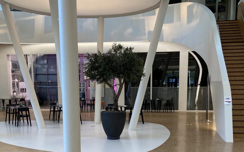 Ontvangst Signify: meer dan een receptie