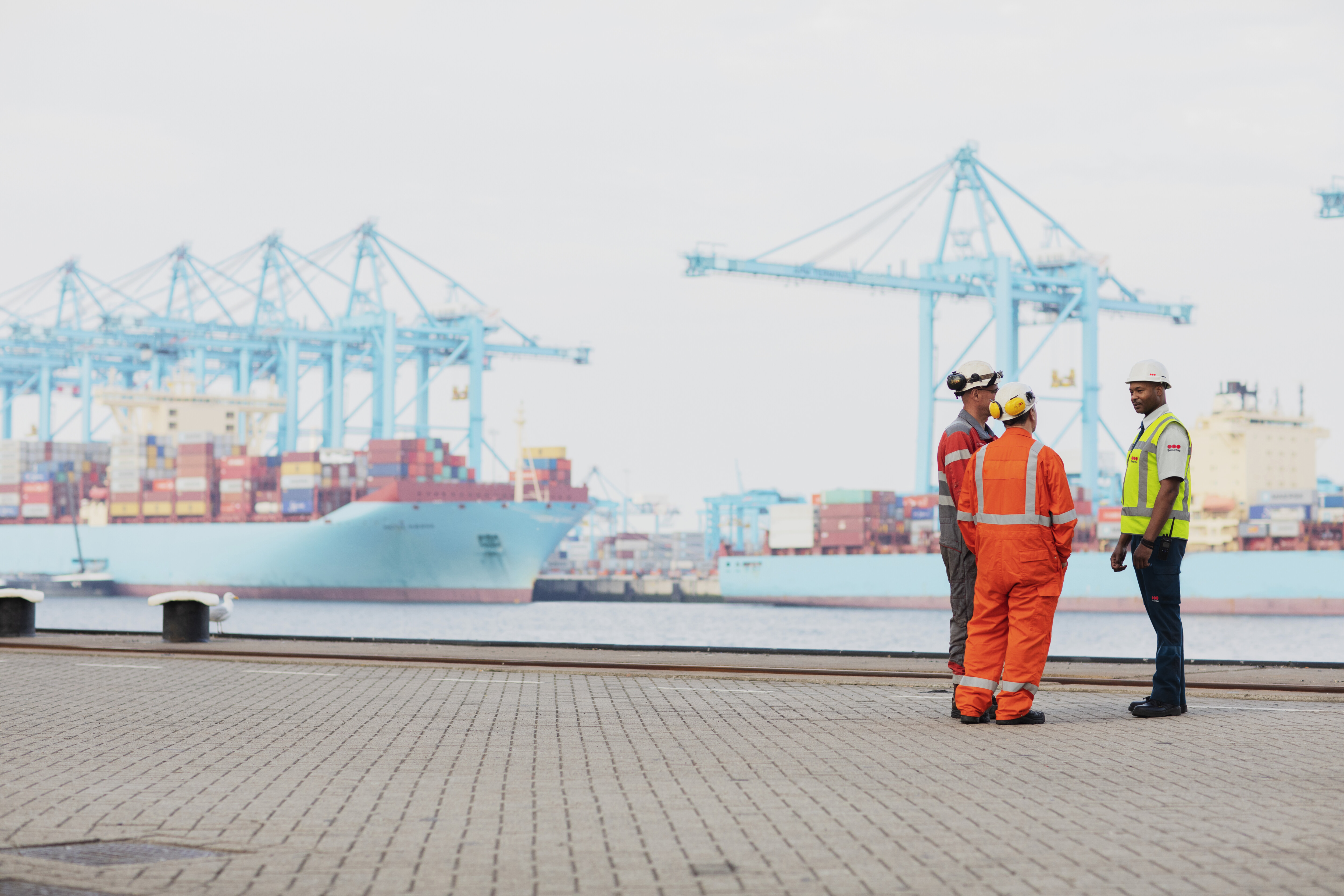 Havenbeveiliging onder druk: professionele aanpak steeds belangrijker